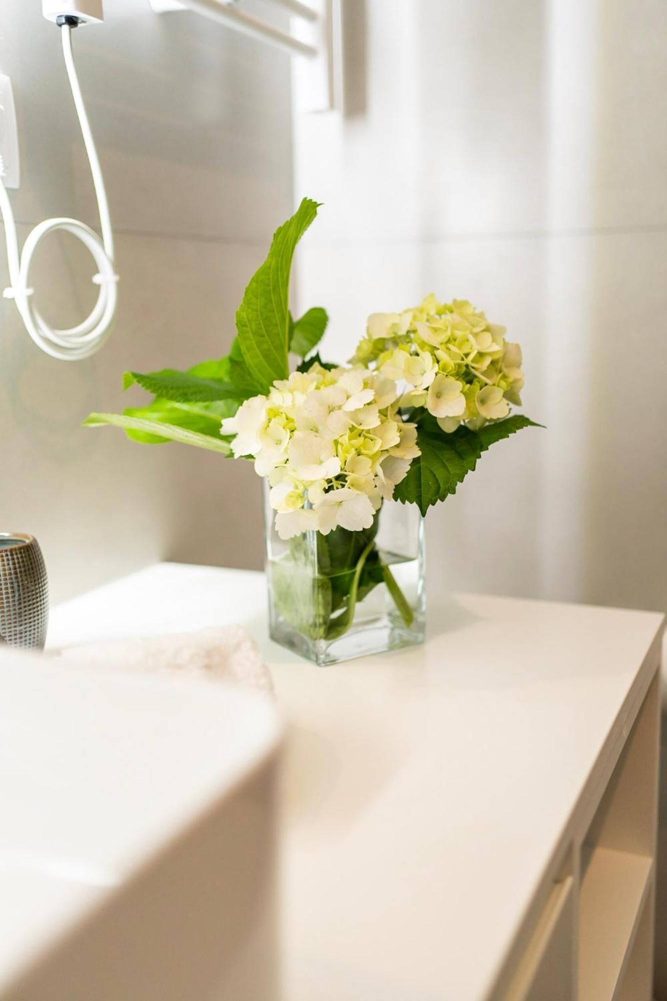 Azores Green Villas Πόντα Ντελγκάντα Εξωτερικό φωτογραφία